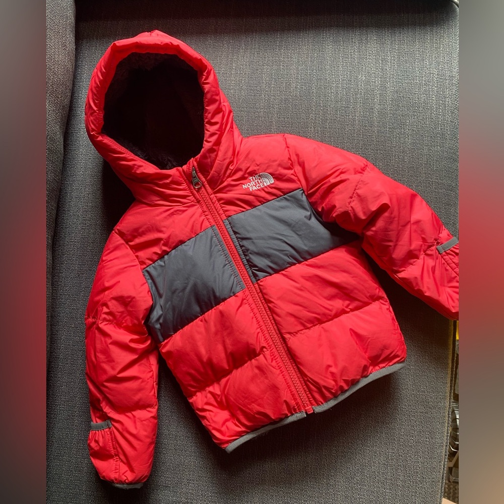 North Face Moondoggy 550 fill down jacket